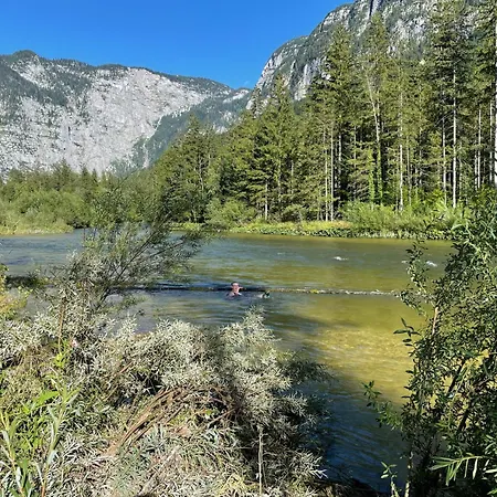 River Lilly