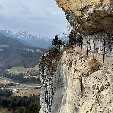 River Lilly Apartment Obertraun