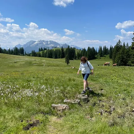 River Lilly Obertraun