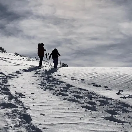 River Lilly * Obertraun