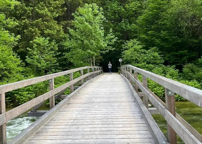 River Lilly 公寓 上特劳恩