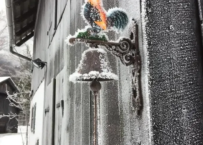 River Lilly * 上特劳恩