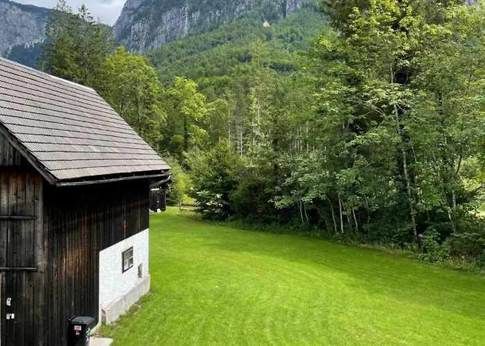 River Lilly * 上特劳恩