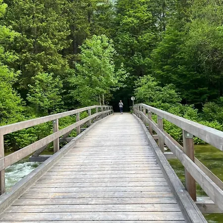 River Lilly Appartamento Obertraun