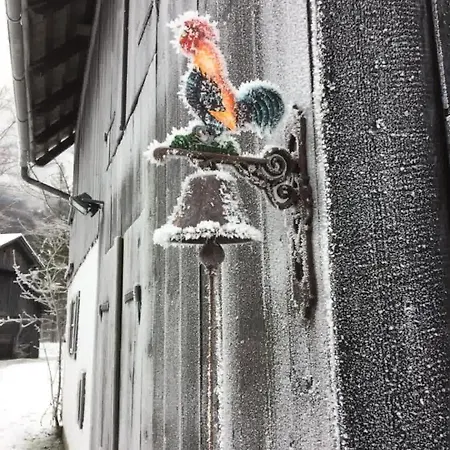 River Lilly * Obertraun