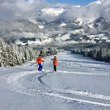 Appartamento River Lilly Obertraun