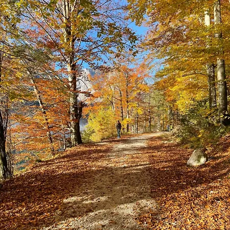 Appartamento River Lilly Obertraun