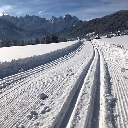 Appartamento River Lilly Obertraun