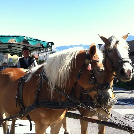 River Lilly Appartamento Obertraun