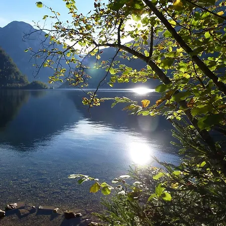 Appartamento River Lilly *