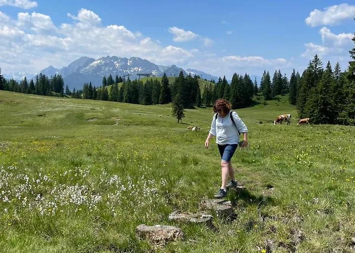 River Lilly Obertraun