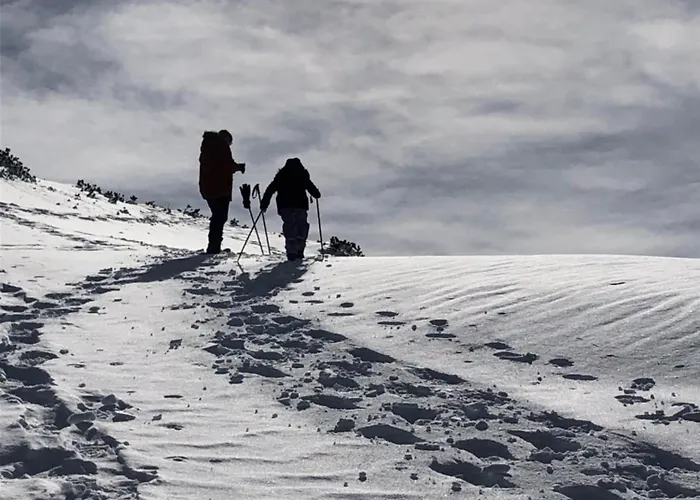 River Lilly * Obertraun