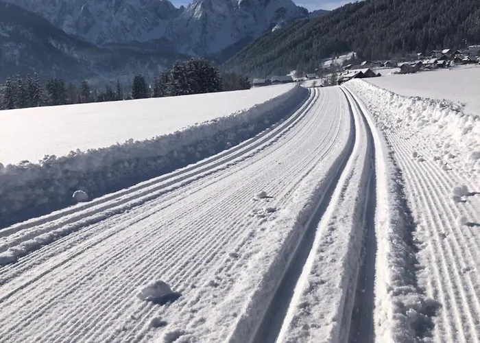 Apartman River Lilly Obertraun