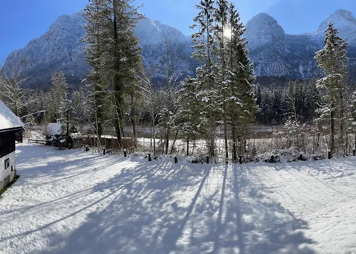 River Lilly Apartman Obertraun