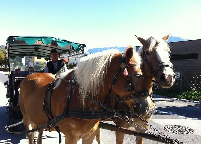 River Lilly Apartman Obertraun