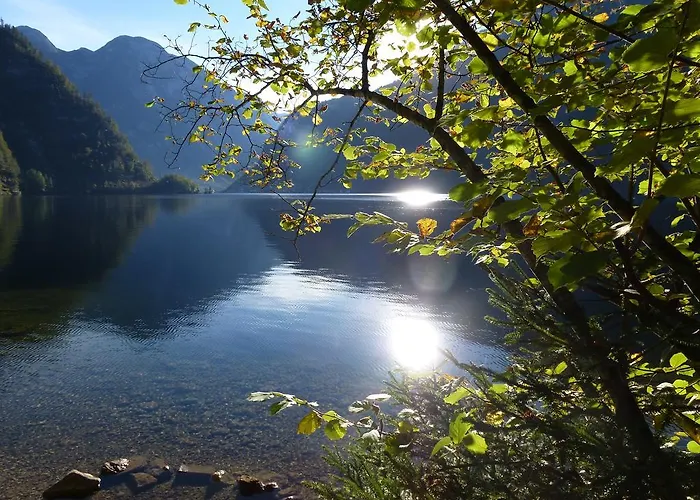 Apartman River Lilly *